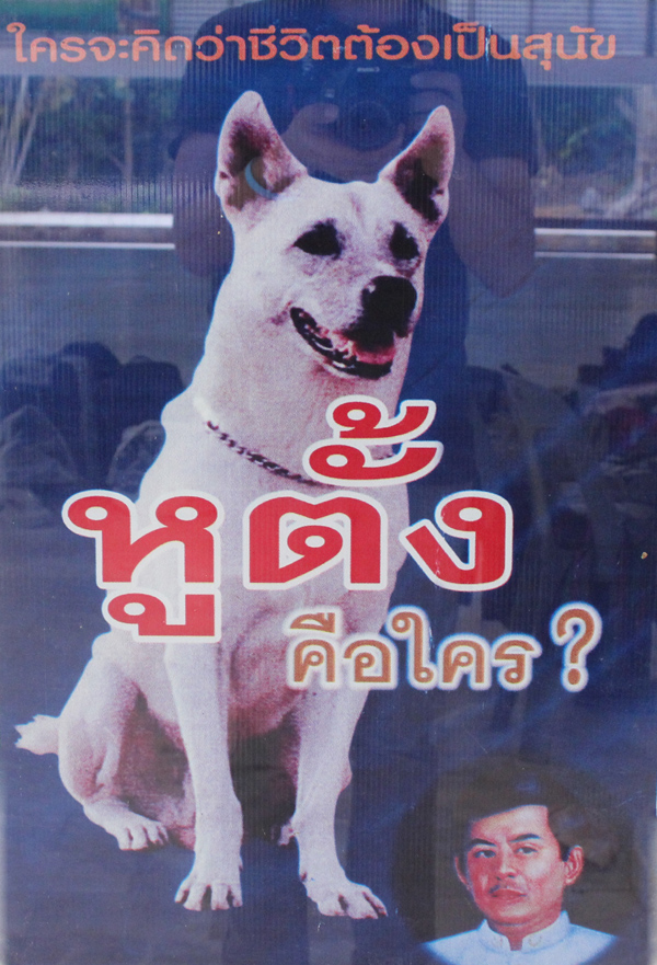 หูตั้ง  หมาระลึกชาติ