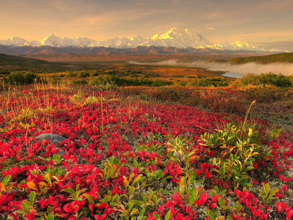 Nature